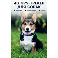 Трекер для хатніх тварин GPS V 43