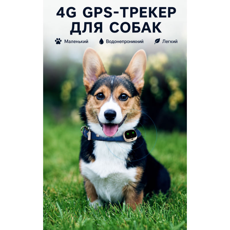 Трекер для хатніх тварин GPS V 43 Трекер для хатніх тварин GPS V 43
