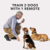 Нашийник для тренування/коригування поведінки собак Dog Care TC 08